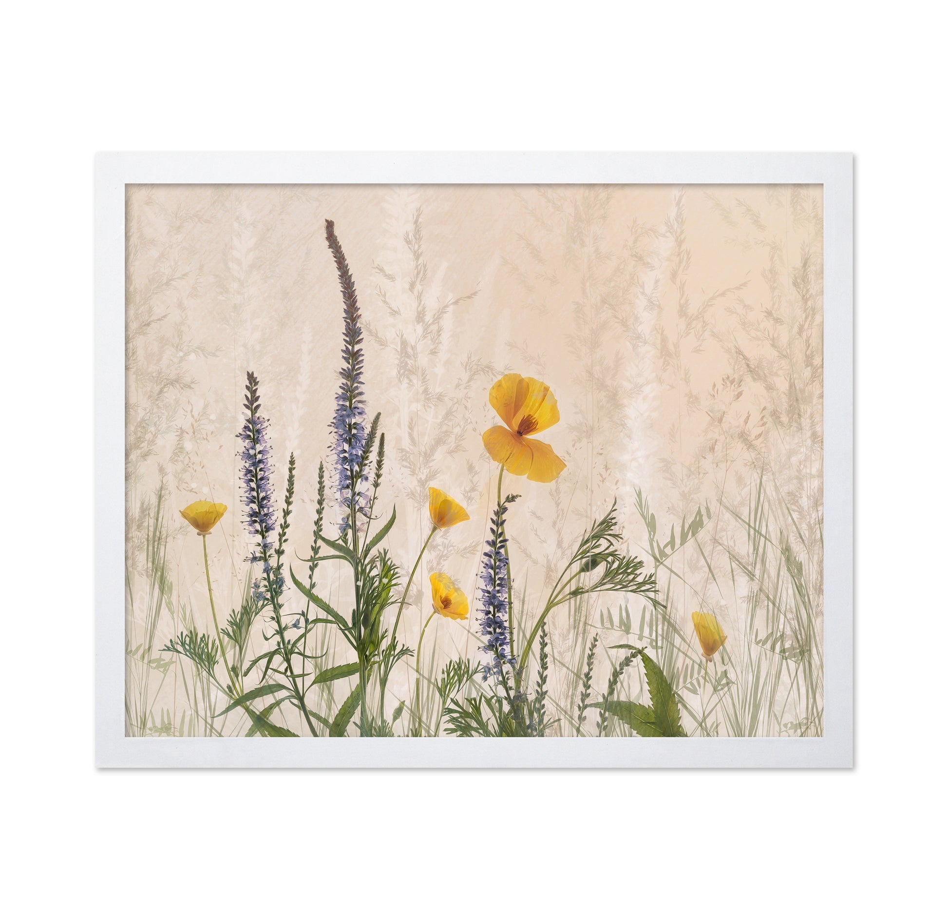 Wildflower Dreamscape