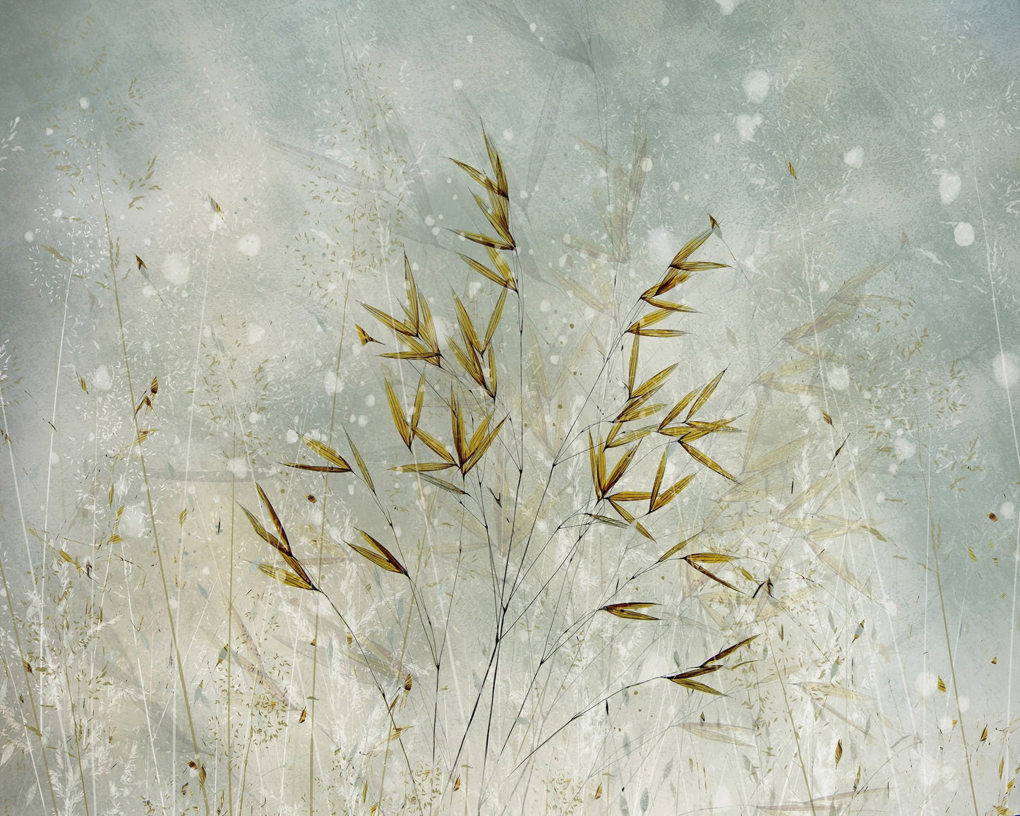 Winter Grass Whisper