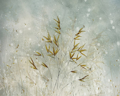 Winter Grass Whisper