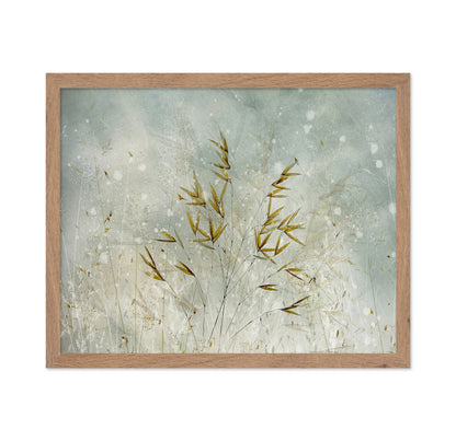 Winter Grass Whisper