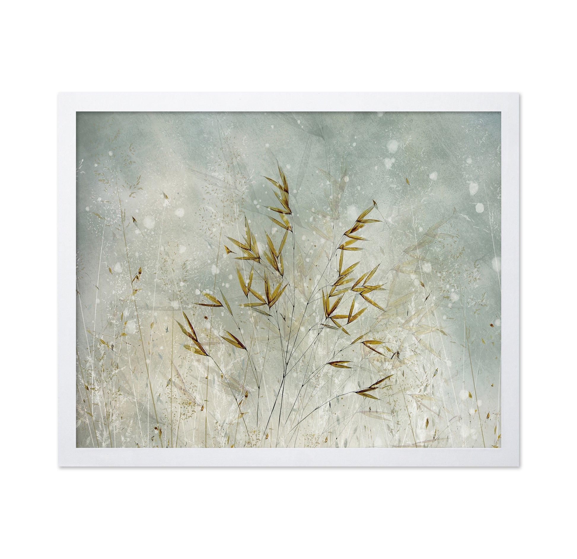 Winter Grass Whisper