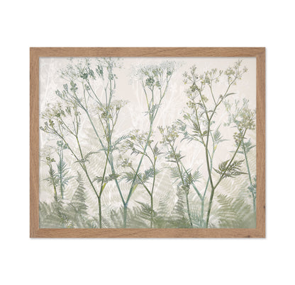 Delicate Cow Parsley