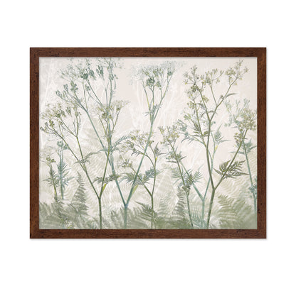 Delicate Cow Parsley