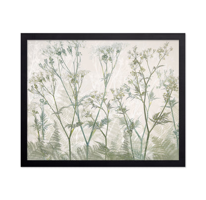 Delicate Cow Parsley