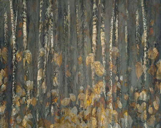 Autumn Birch Forest