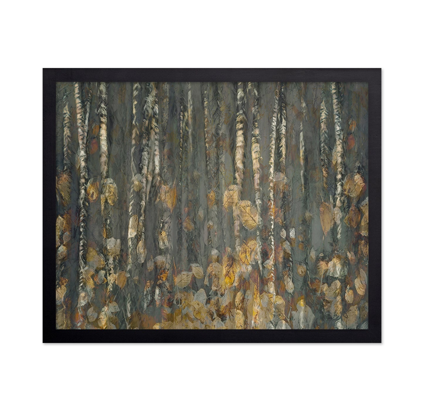 Autumn Birch Forest