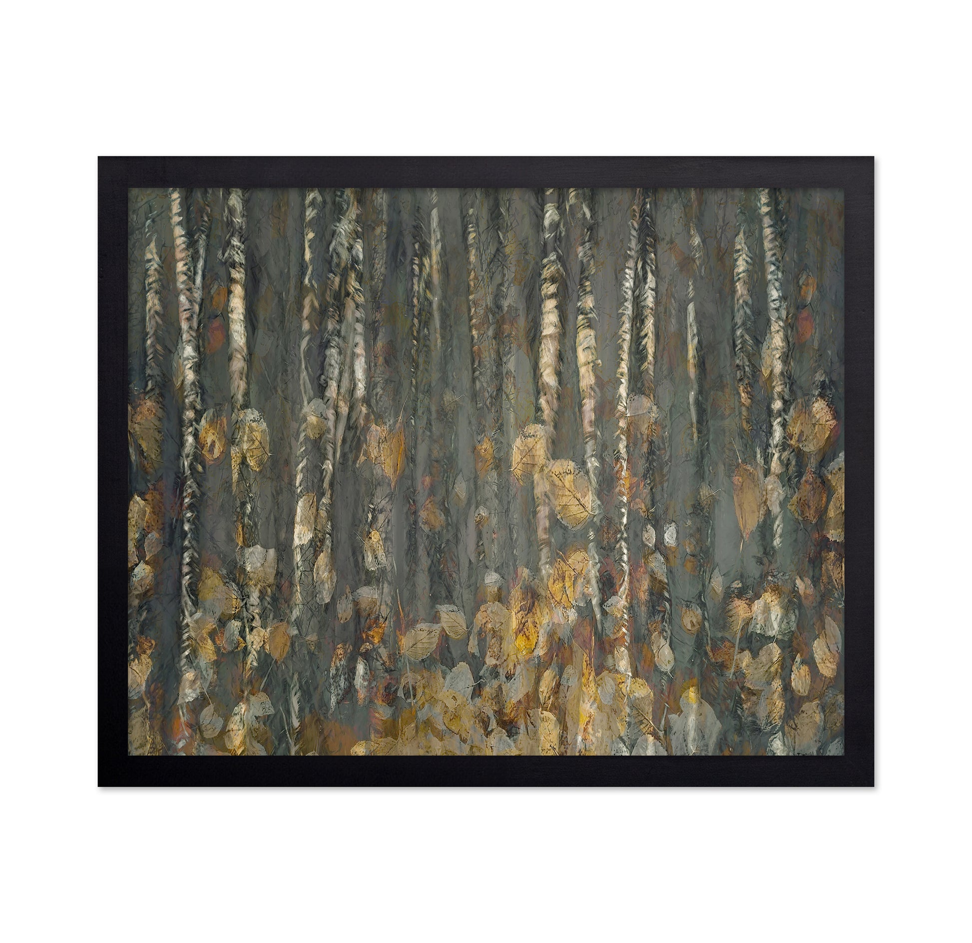 Autumn Birch Forest