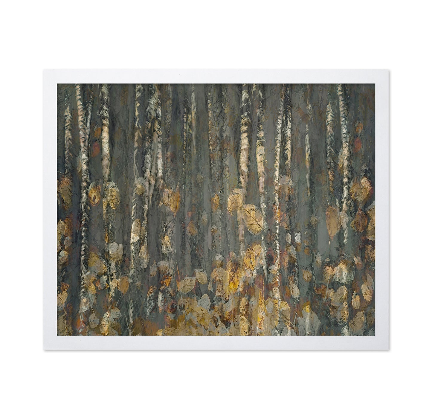 Autumn Birch Forest