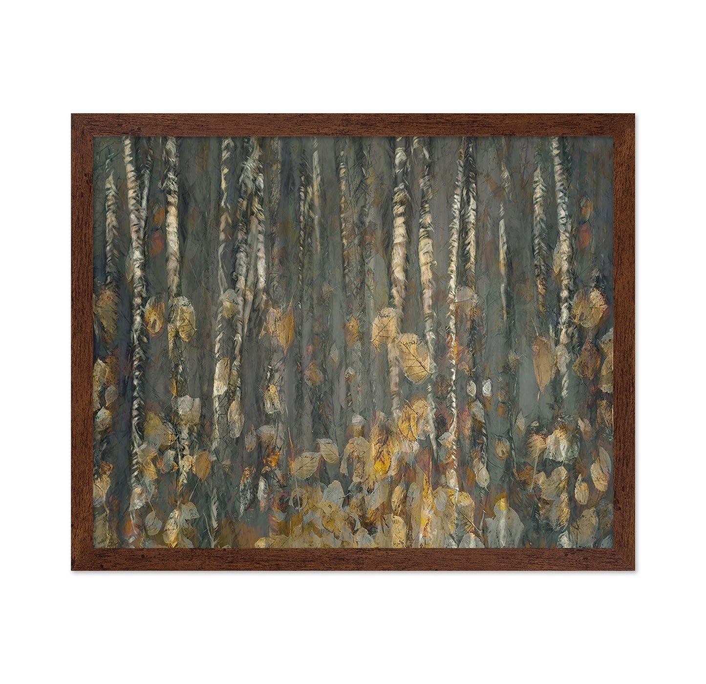 Autumn Birch Forest