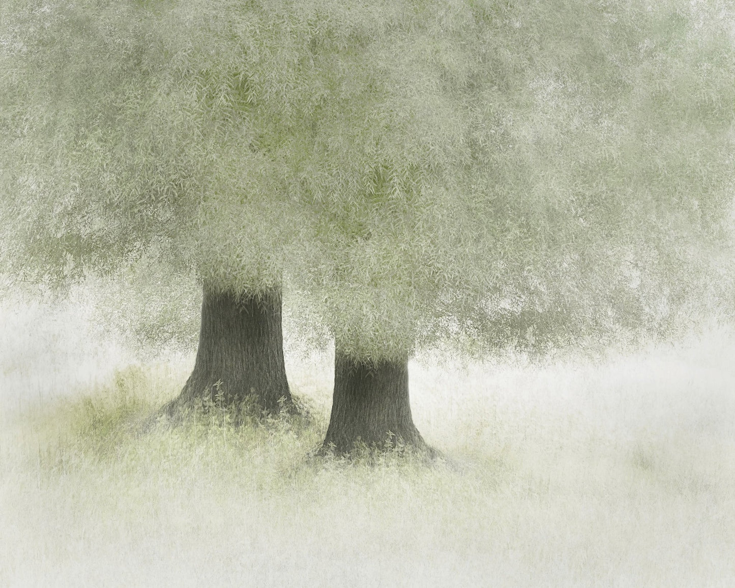 Quiet Forest Companions