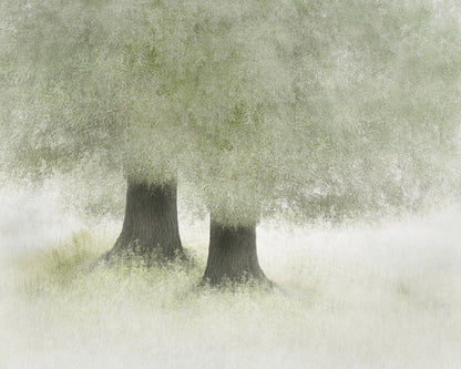 Quiet Forest Companions