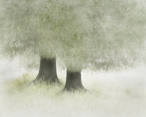 Quiet Forest Companions