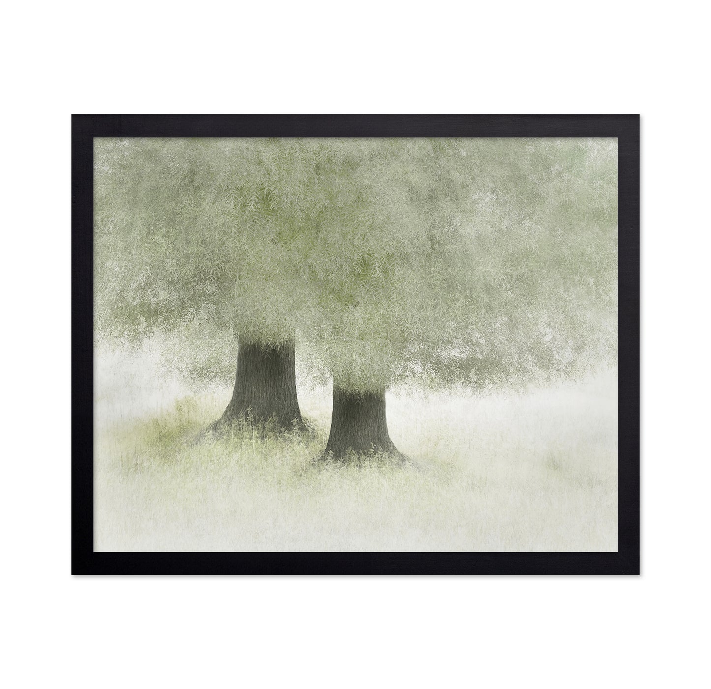 Quiet Forest Companions