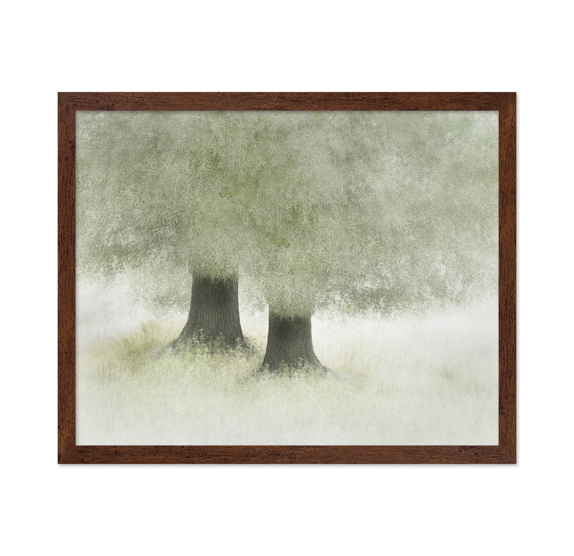 Quiet Forest Companions