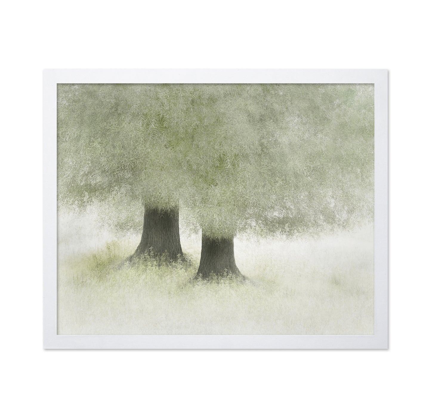 Quiet Forest Companions