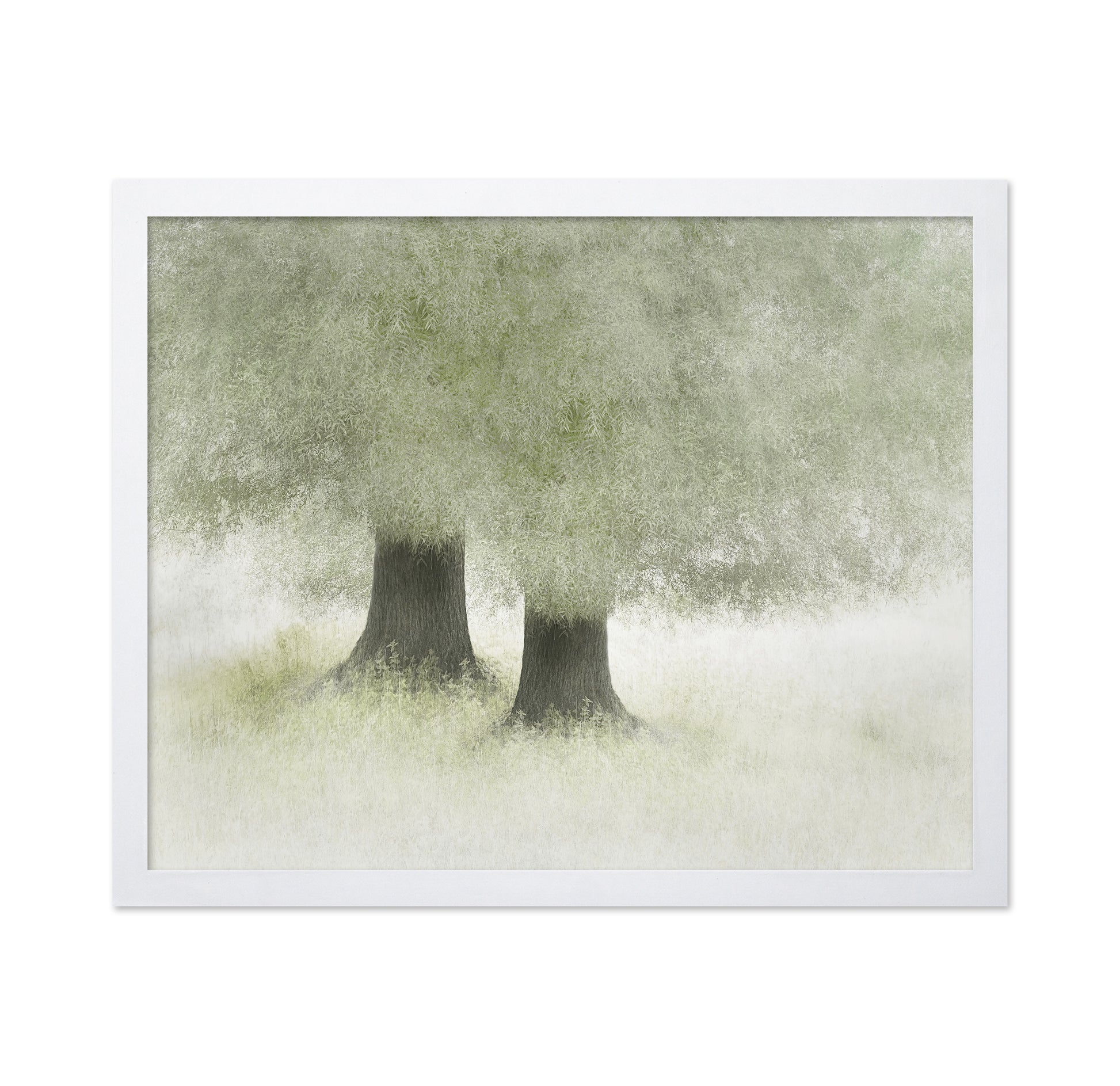 Quiet Forest Companions
