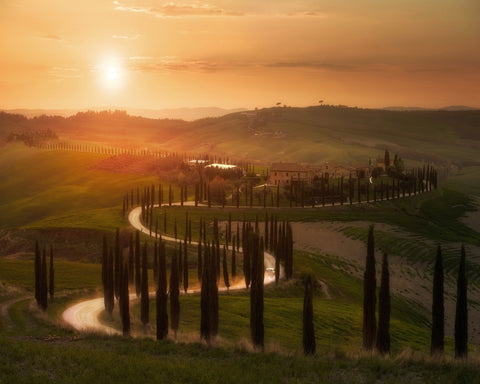 Golden Tuscany Evening