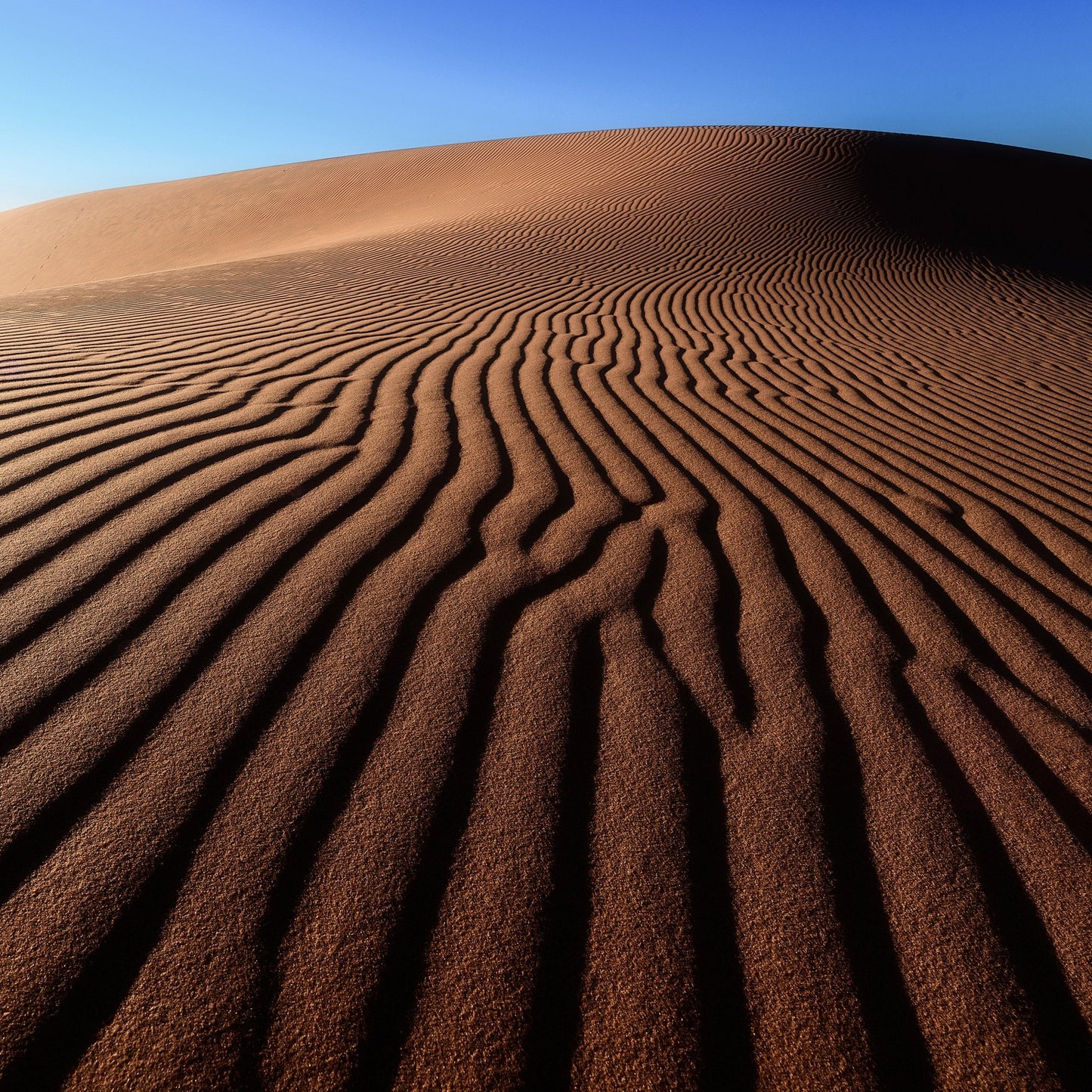 Desert Sand Patterns