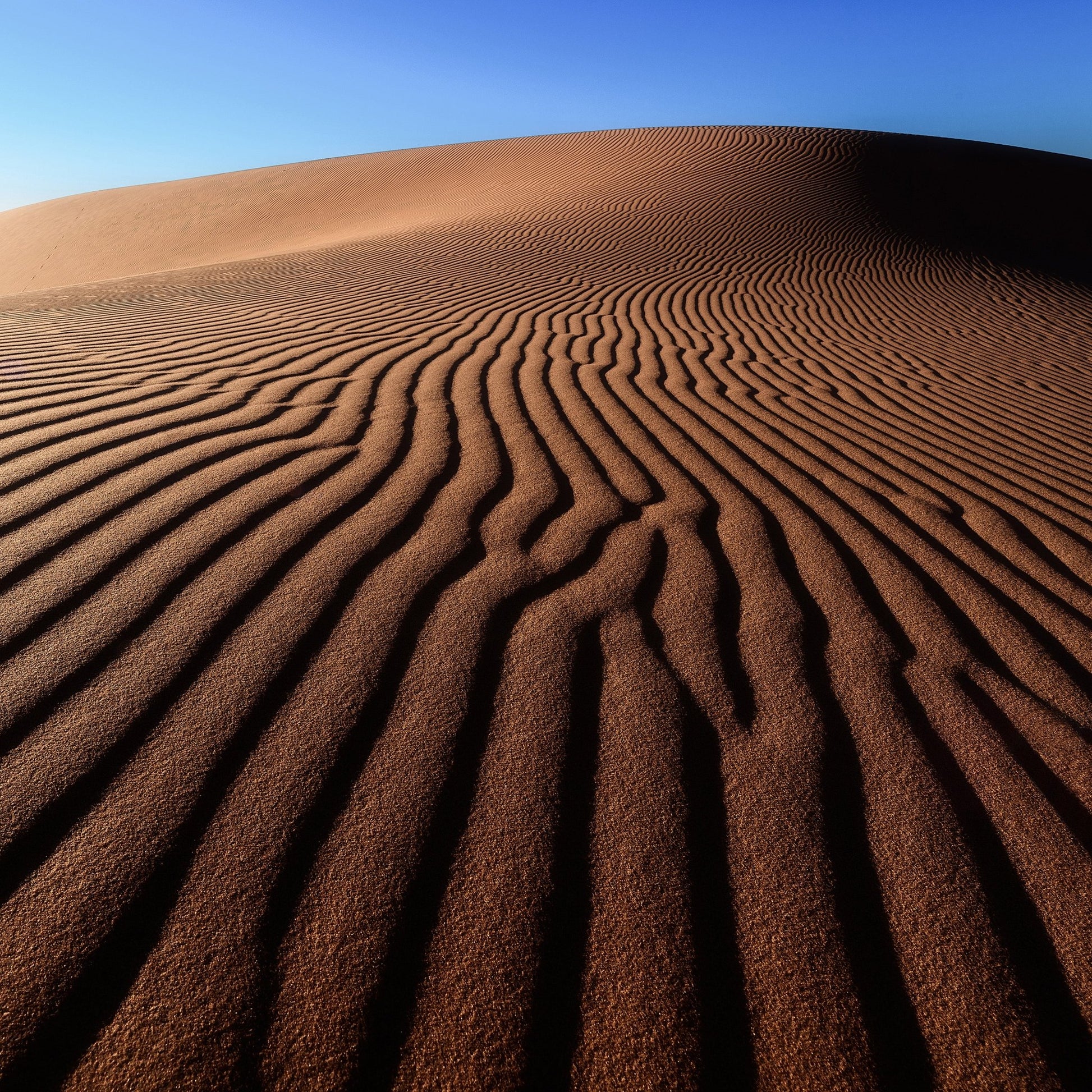 Desert Sand Patterns