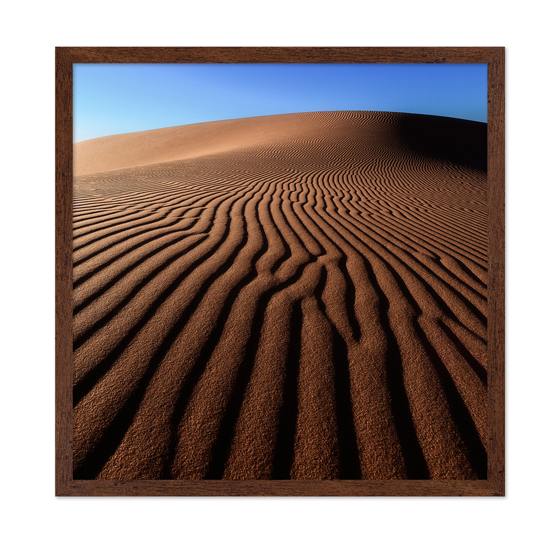Desert Sand Patterns