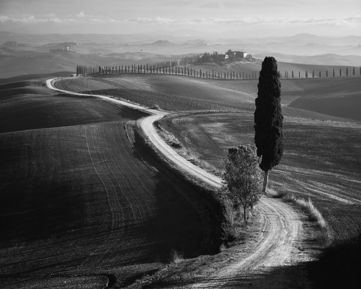 Tuscan Morning Path