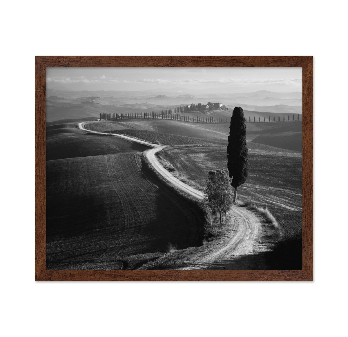 Tuscan Morning Path