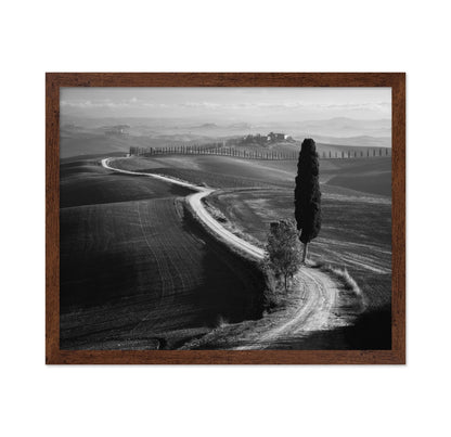 Tuscan Morning Path