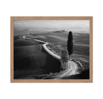 Tuscan Morning Path