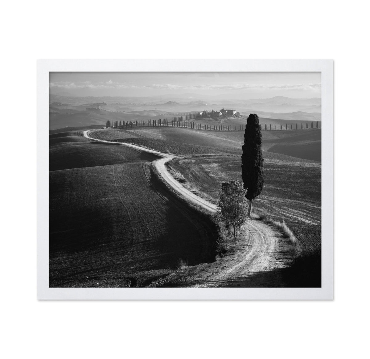 Tuscan Morning Path