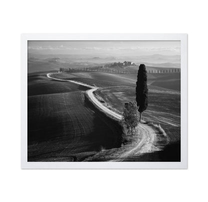 Tuscan Morning Path