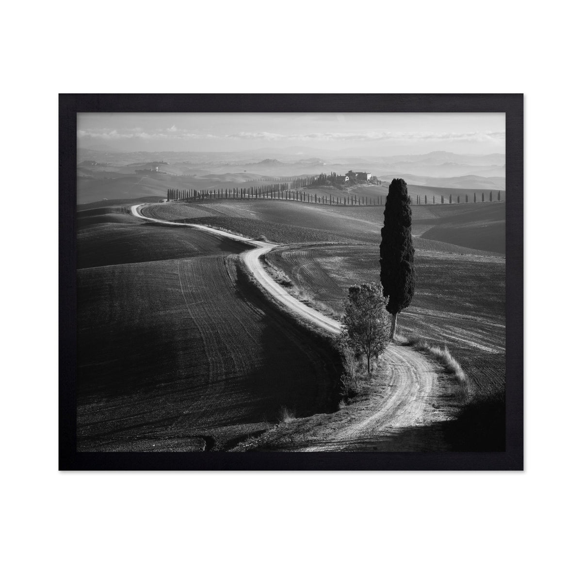Tuscan Morning Path