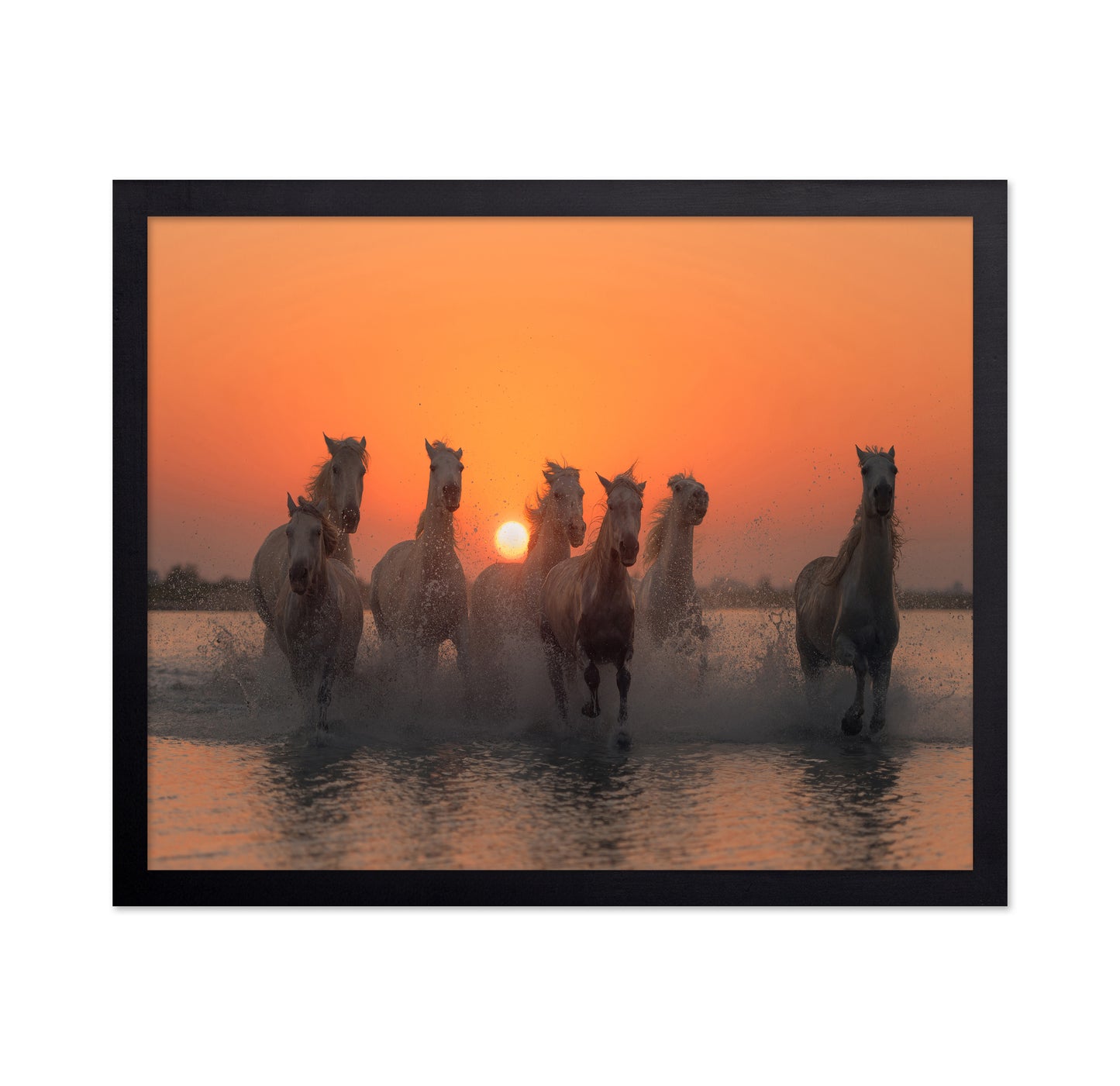 Wild Horses at Sunset