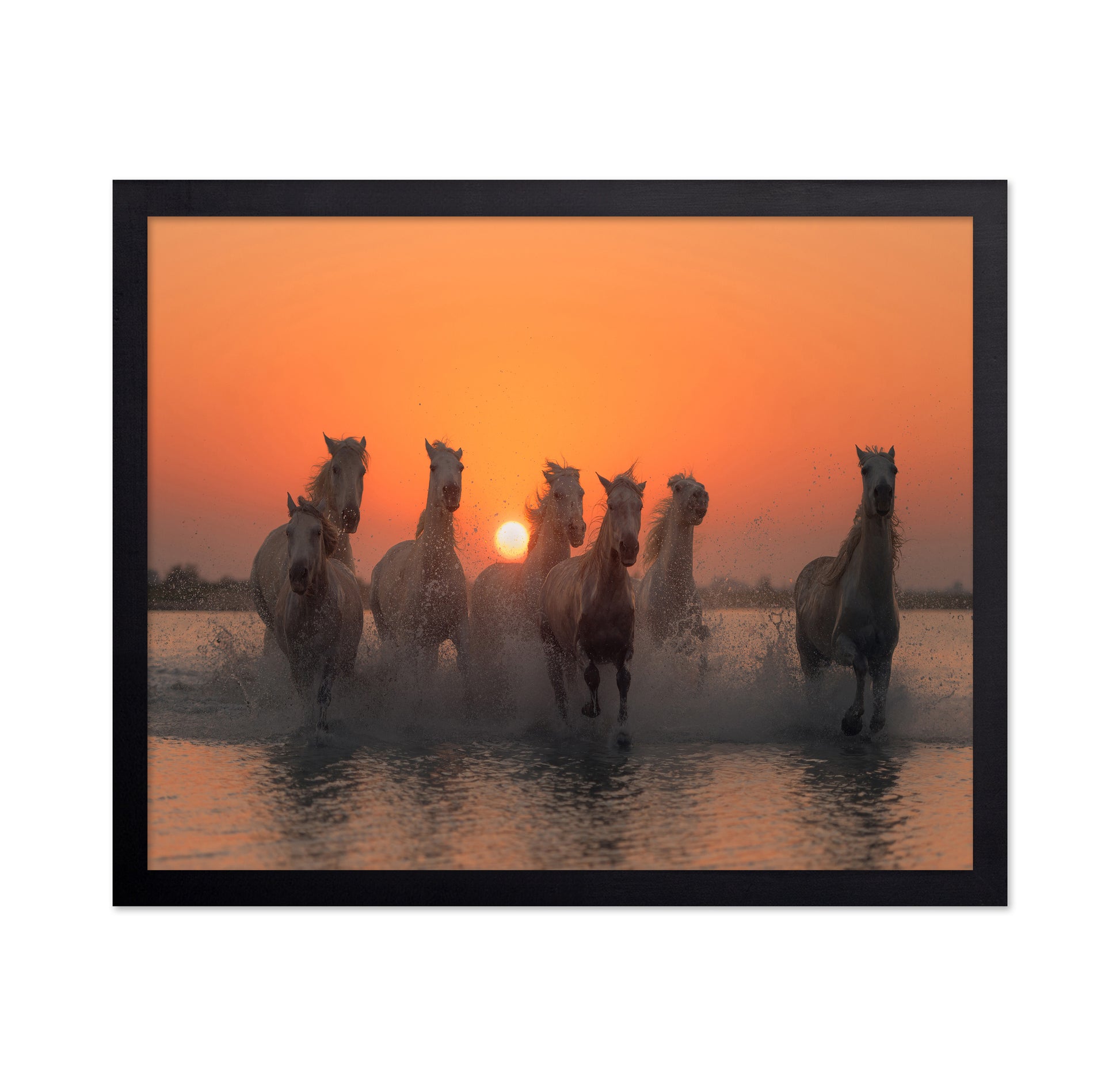Wild Horses at Sunset