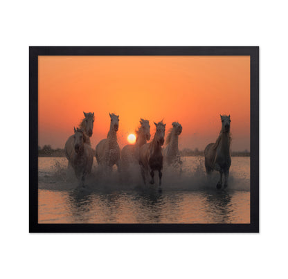 Wild Horses at Sunset