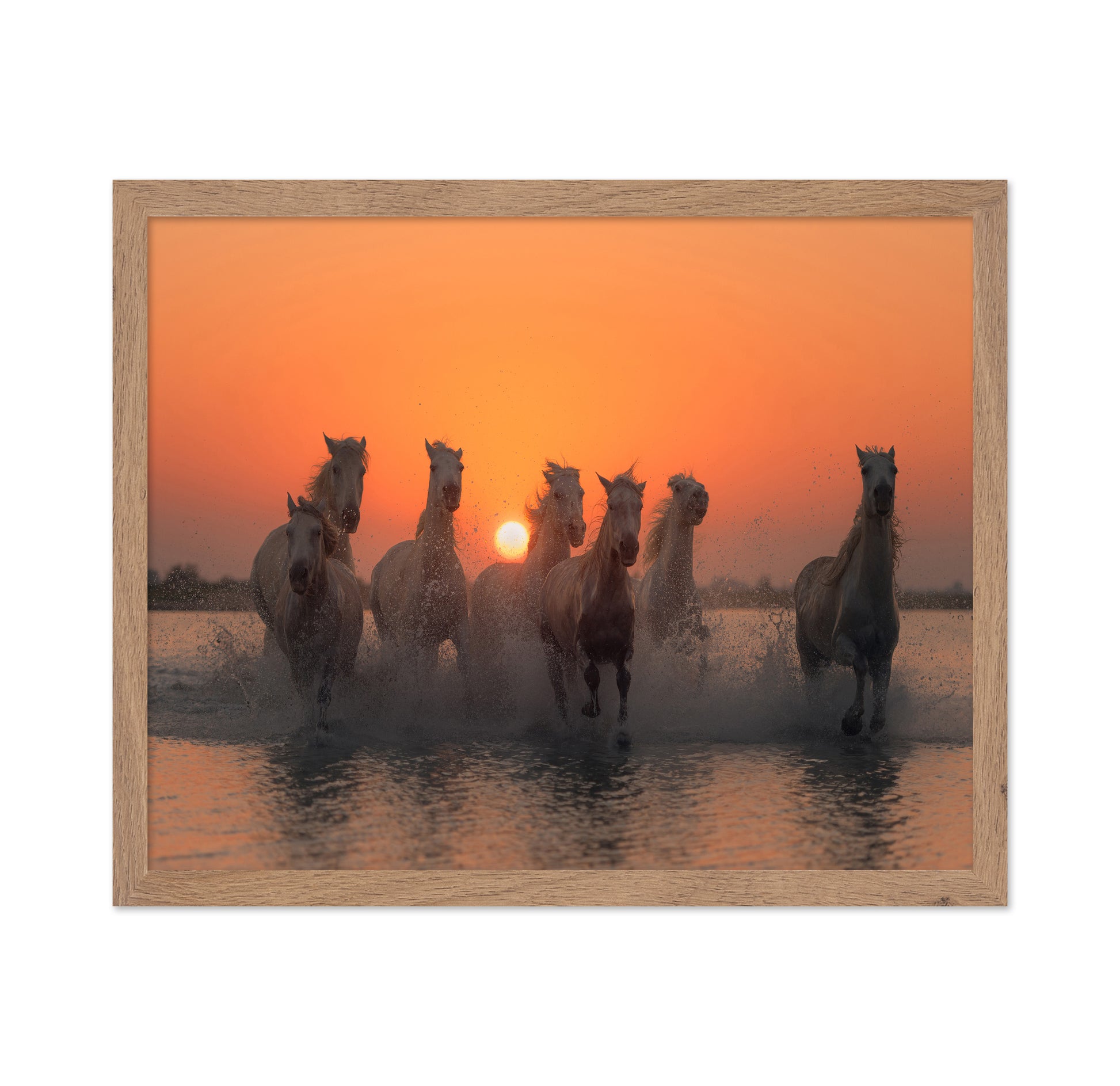 Wild Horses at Sunset