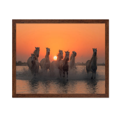 Wild Horses at Sunset