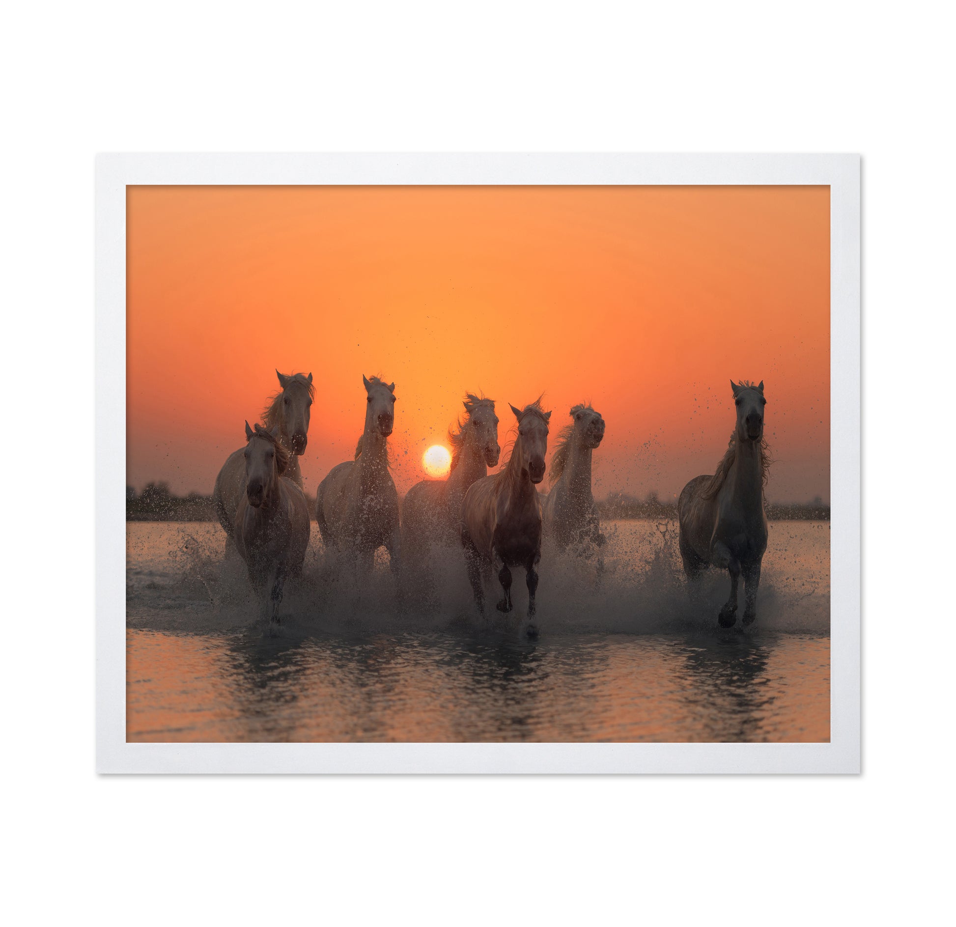 Wild Horses at Sunset