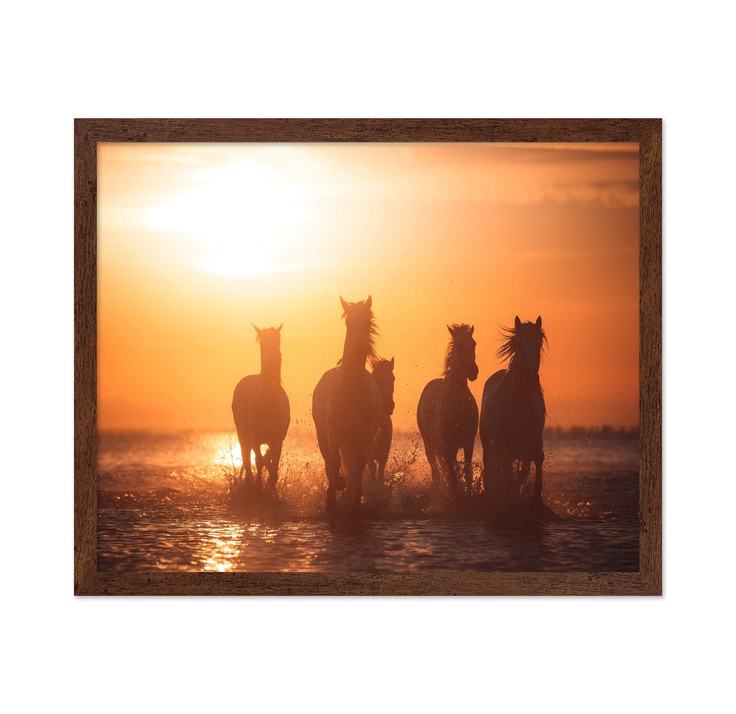 Sunset Horse Run