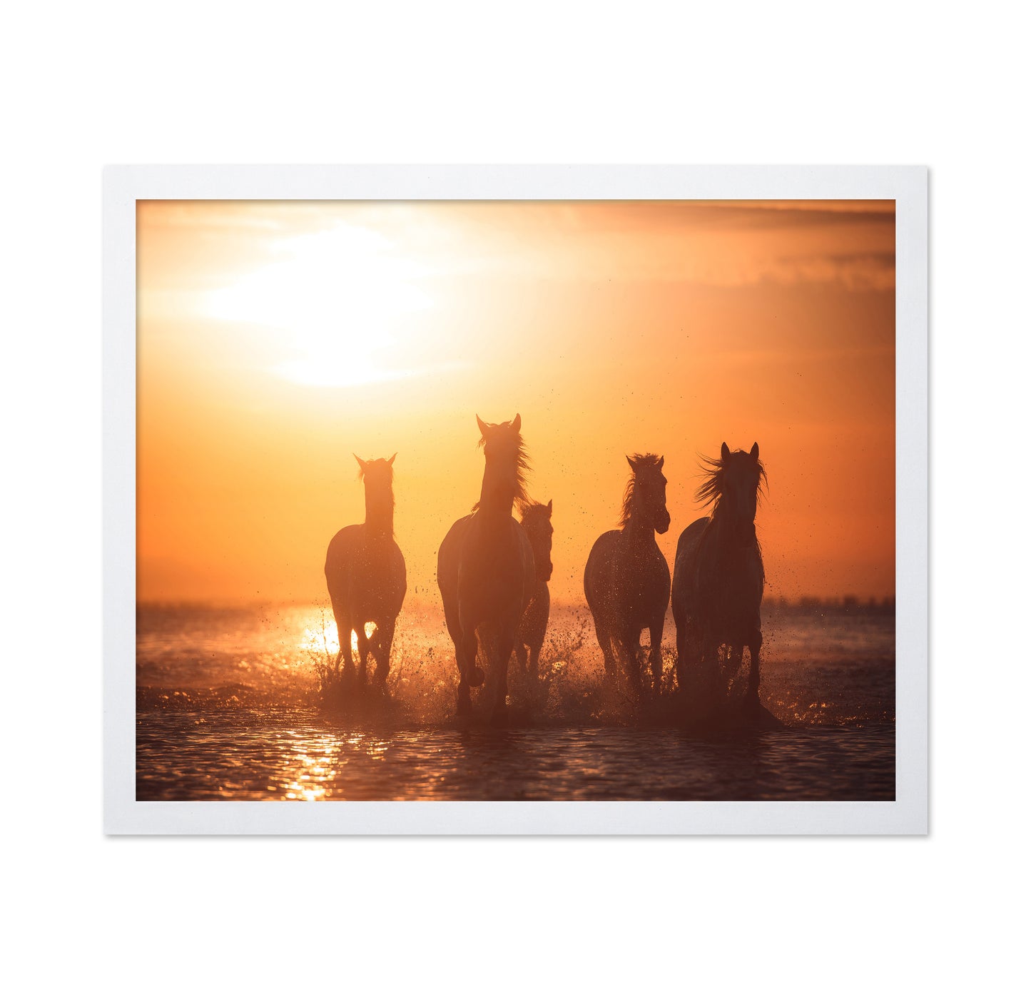 Sunset Horse Run