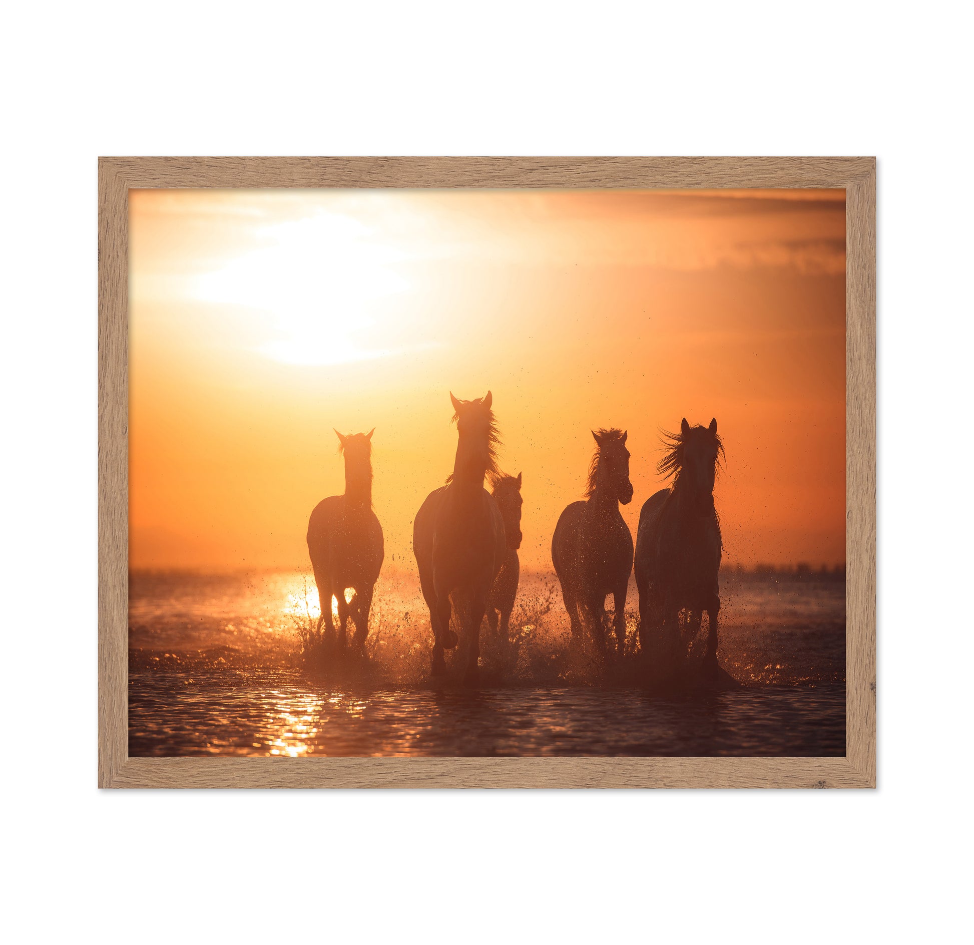 Sunset Horse Run