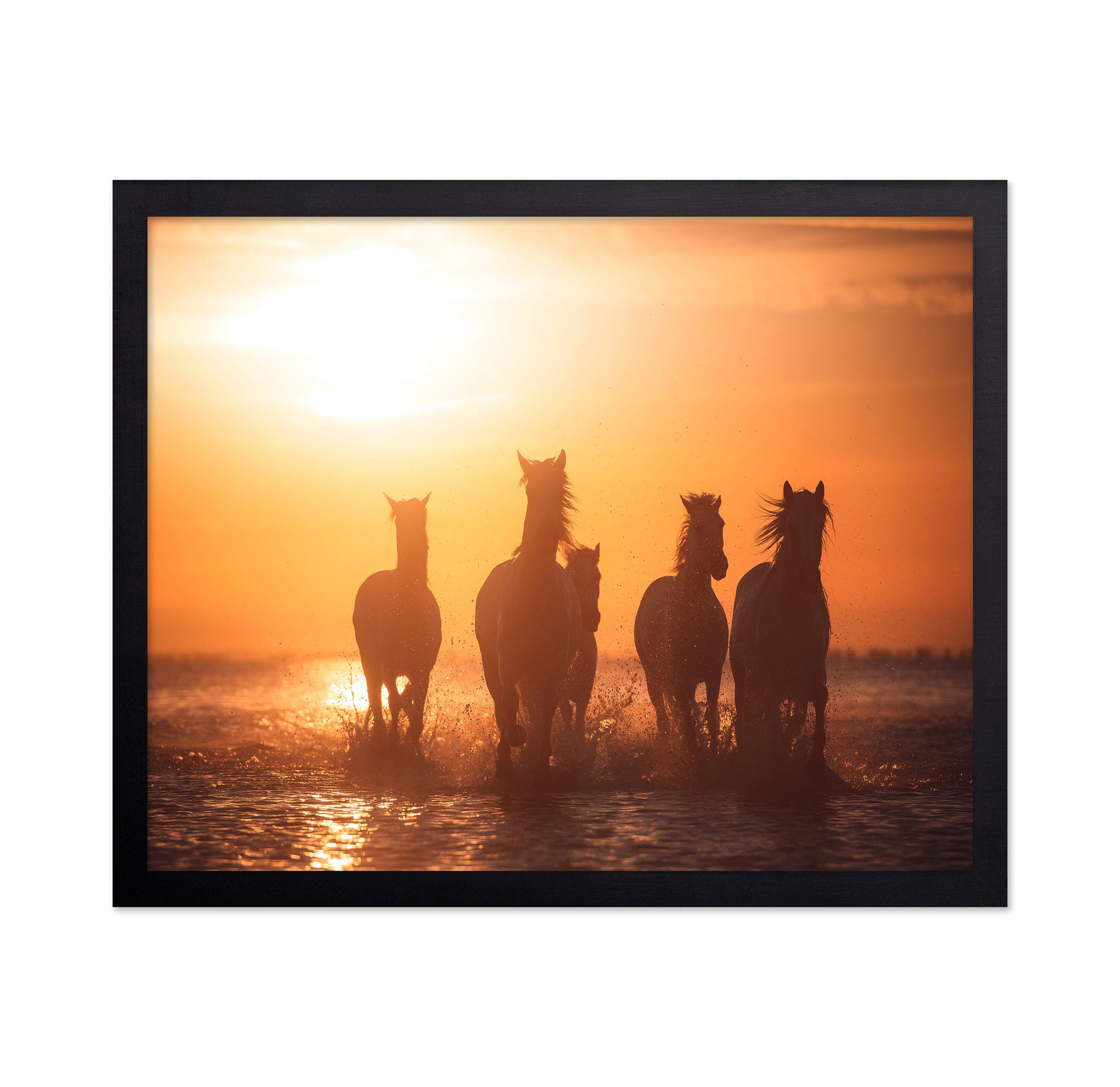 Sunset Horse Run