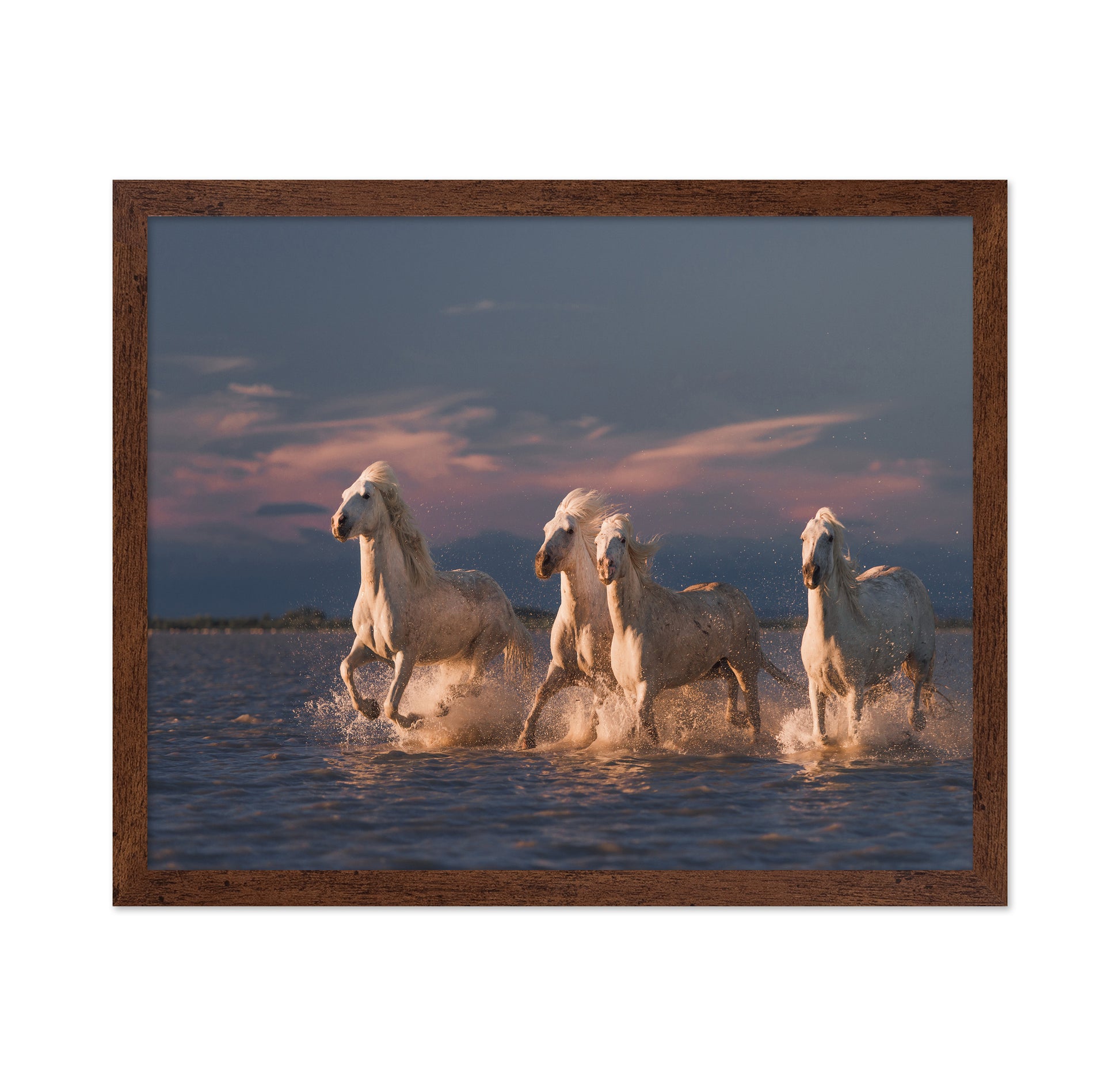 White Horses Run