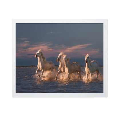White Horses Run
