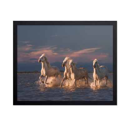 White Horses Run