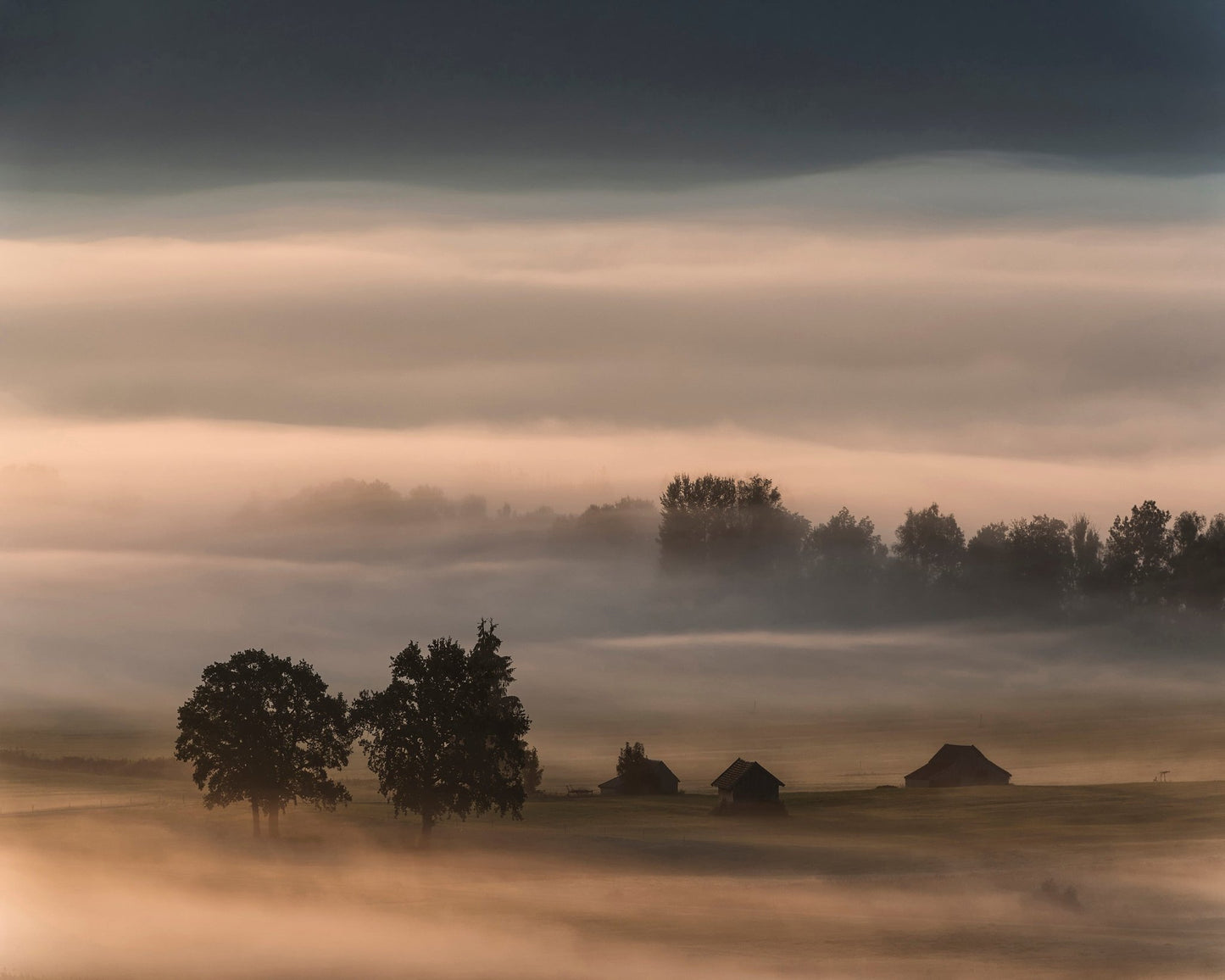 Foggy Valley Dawn