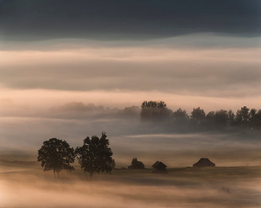 Foggy Valley Dawn