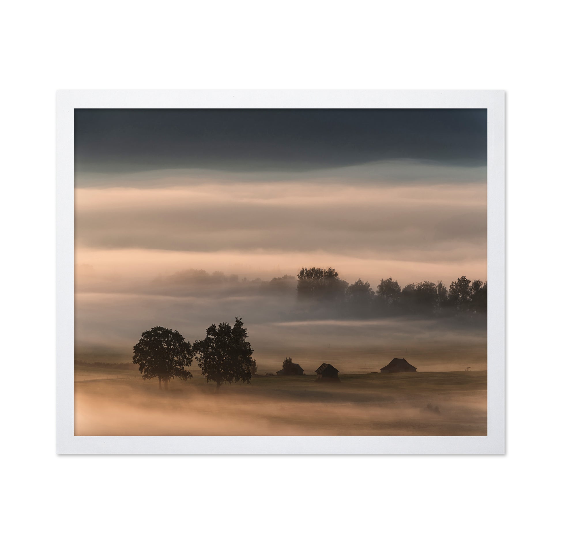 Foggy Valley Dawn