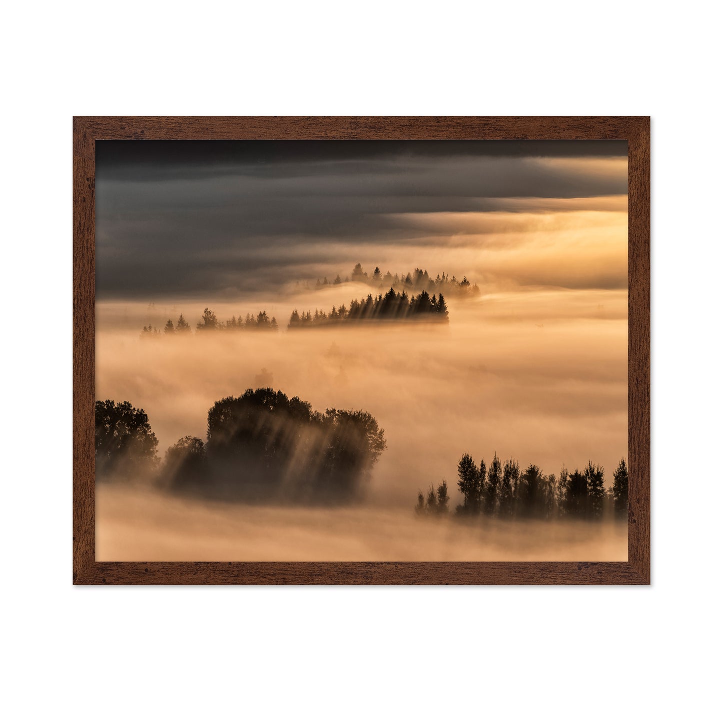 Golden Fog Hills