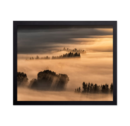 Golden Fog Hills