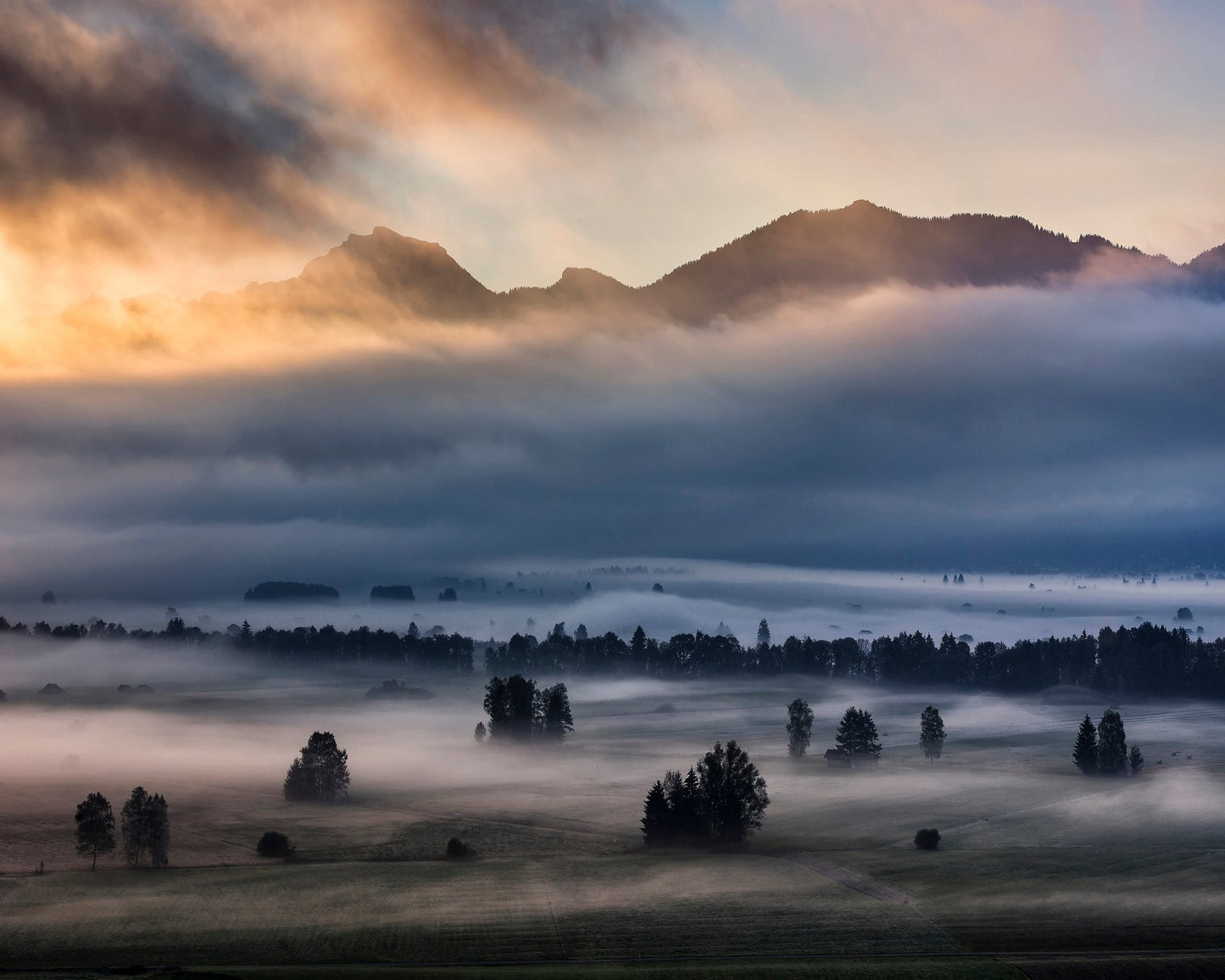 Misty Autumn Valley